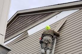 Best Historical Building Siding Restoration  in Cerro Gordo, IL